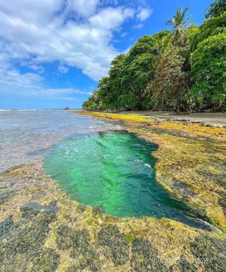 Puerto Viejo de Talamanca Casa Mar 빌라 외부 사진